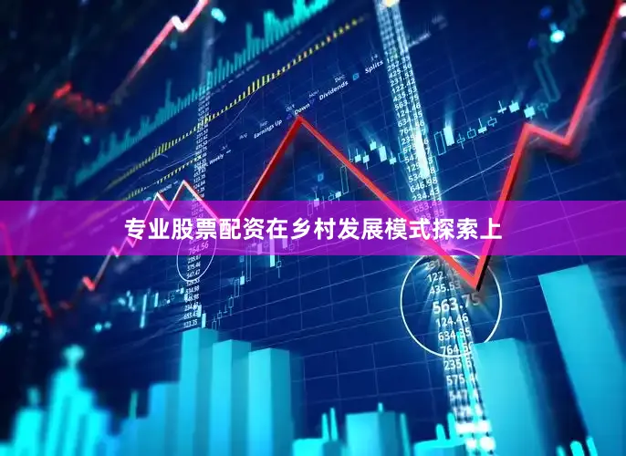 专业股票配资在乡村发展模式探索上