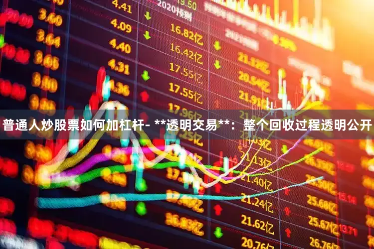 普通人炒股票如何加杠杆- **透明交易**：整个回收过程透明公开