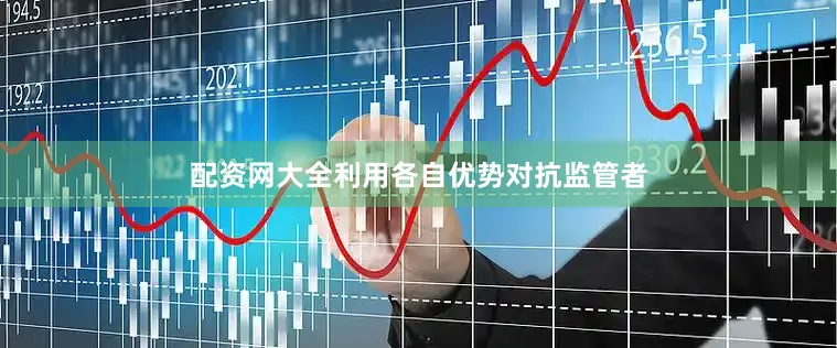 配资网大全利用各自优势对抗监管者