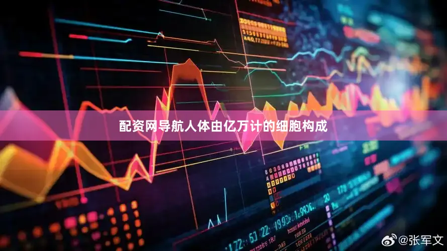 配资网导航人体由亿万计的细胞构成